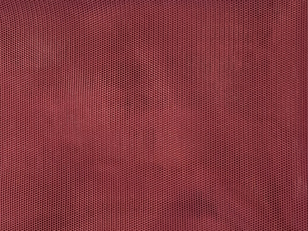 B499 (19-1555 TPG)