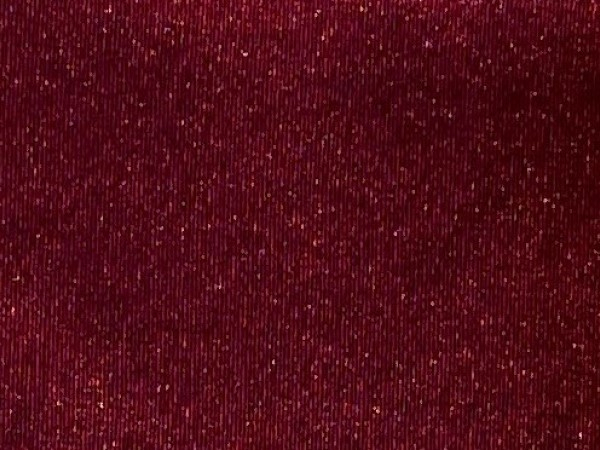 696 (19-1863 TPG)