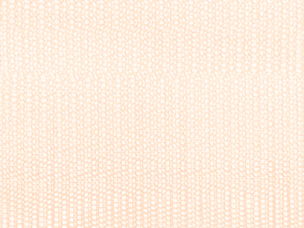 3658 (12-1009 TPG)