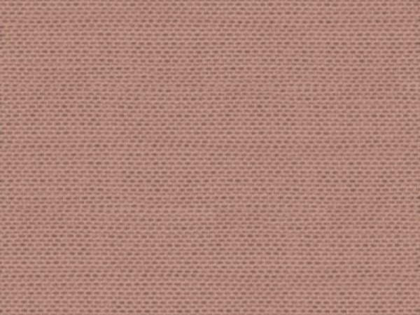 B303 (16-1412 TPG)