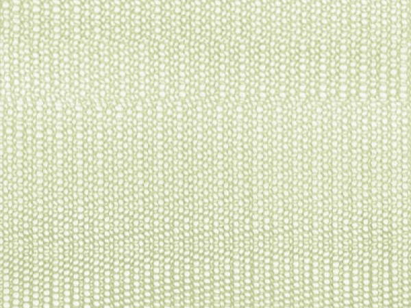 Clorofilla (12-6208 TPG)