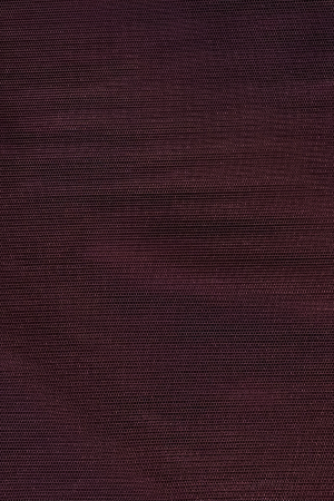 F407 (19-1627 TPG)
