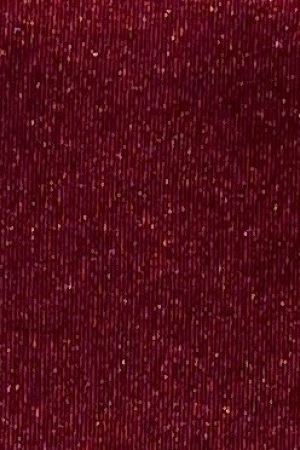 696 (19-1863 TPG)