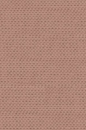 B303 (16-1412 TPG)