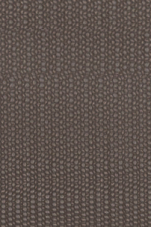 C317 (18-1506 TPG)