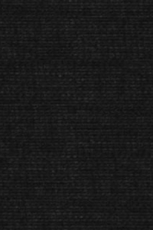 0295 (19-0303 TPG)