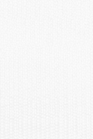 03 (WHITE)