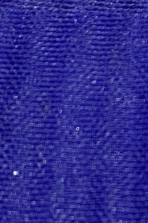 B578 (19-3939 TPG)