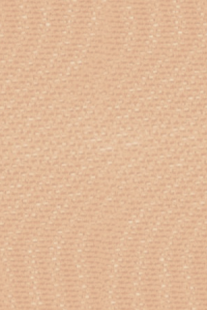 3053 (13-1011 TPG)