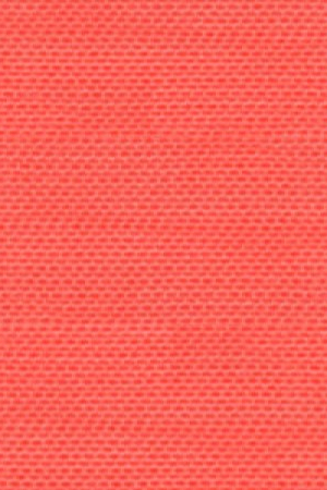 2532 (17-1755 TPG)