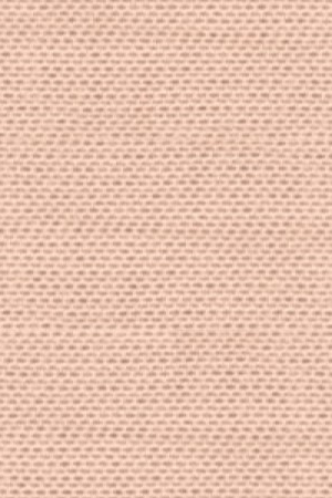 2433 (13-1504 TPG)