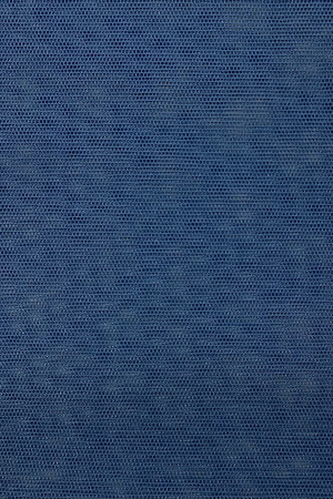C532 (19-4045 TPG)