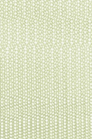 Clorofilla (12-6208 TPG)